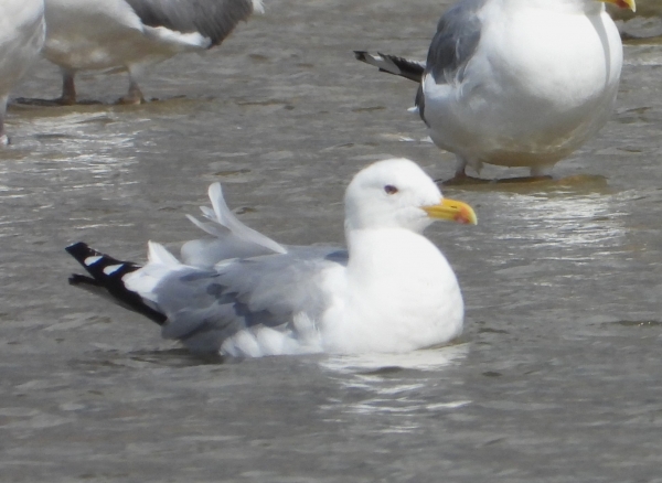 DSCN3515.jpg