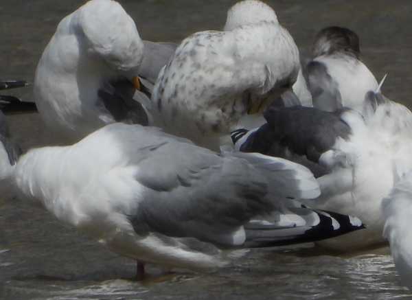 DSCN3569.jpg