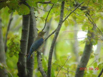 DSCN3726.jpg