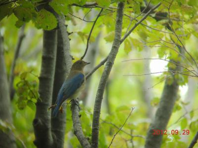 DSCN3727.jpg