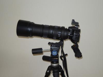 DSCN4046.jpg