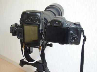 DSCN4275.jpg