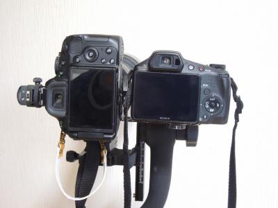 DSCN4279.jpg
