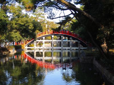 DSCN4281.jpg