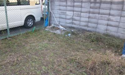 DSC_0041.jpg