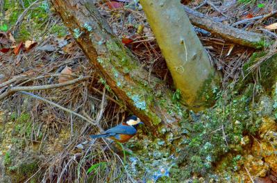 DSC_0151_20121009202114.jpg