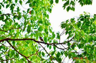 DSC_0567.jpg