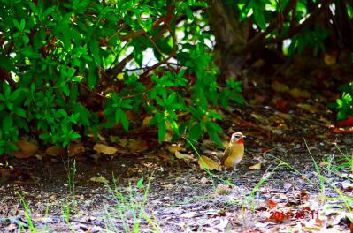 DSC_0660.jpg