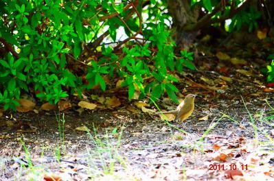 DSC_0664.jpg