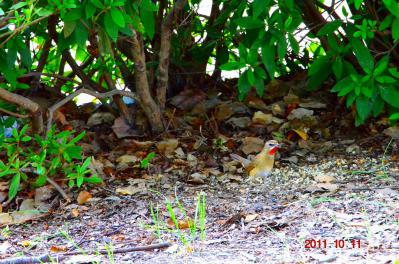 DSC_0776.jpg