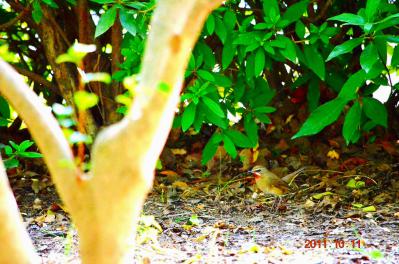 DSC_0793.jpg