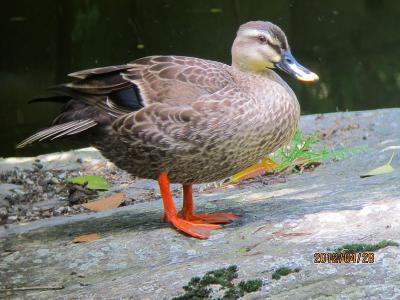IMG_1659.jpg