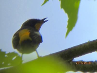 IMG_17271.jpg