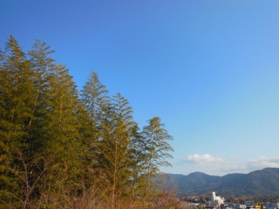 1月3日の空