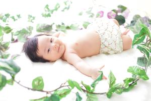 241002haru001.jpg