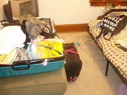 1_20120815144814.jpg