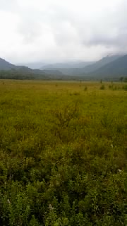moblog_f7058618.jpg