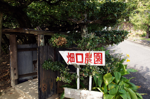 hataguchi.jpg
