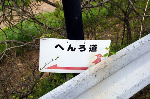 shinnryoku4.jpg