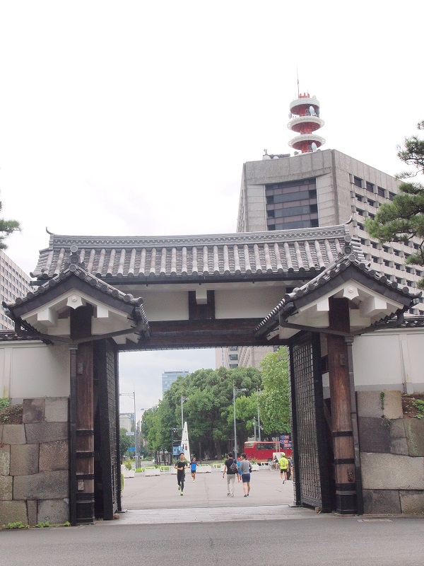 P8306758.jpg