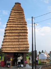 IMG_1920.jpg