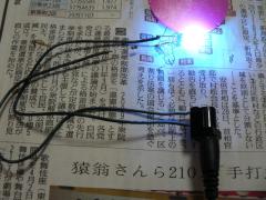 P1070410.jpg