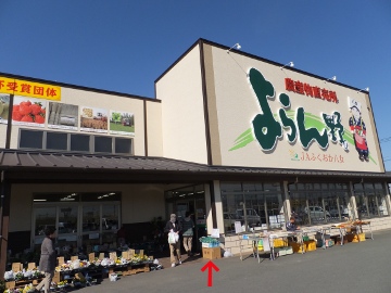 メロン狩り