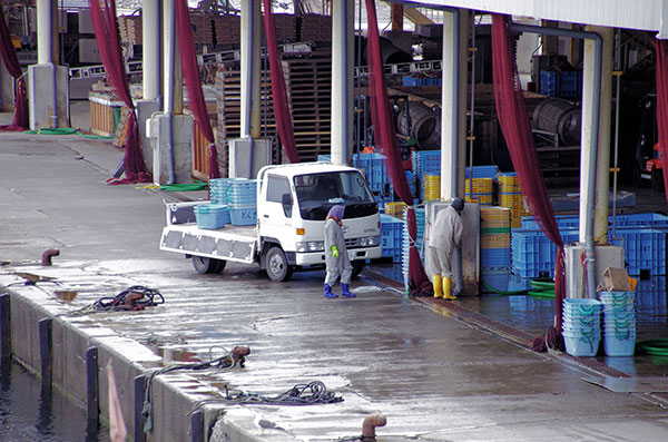 大田名部漁港の集荷場