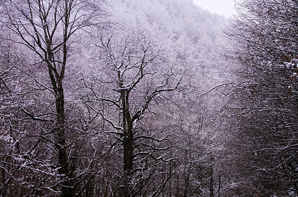 遠野市恩徳の雪景