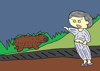 獣の朝帰り