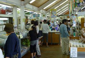 産直:7月24日