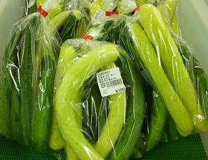 産直:白いキューリ入り