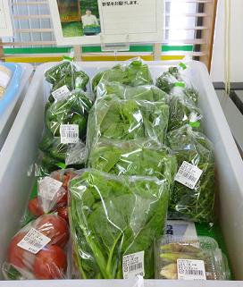 8月8日コンテナ