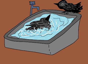カラスの行水