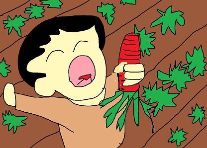 畑のにんじん