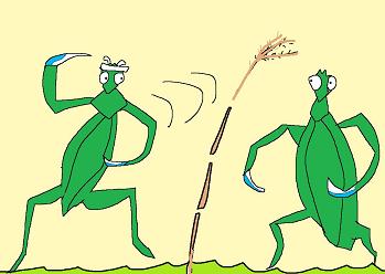 カマキリ対決2