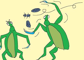 カマキリ対決3