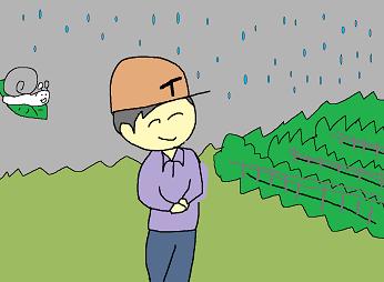 雨の予報