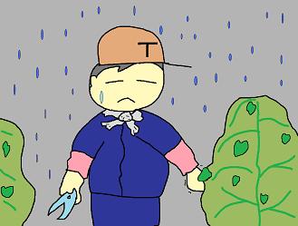 冷たい雨