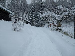 12月10日 小屋の上がり口