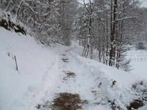 雪道の除雪