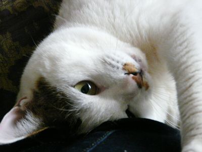 P1070965r.jpg