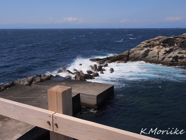 30_0503kaikyo2.jpg