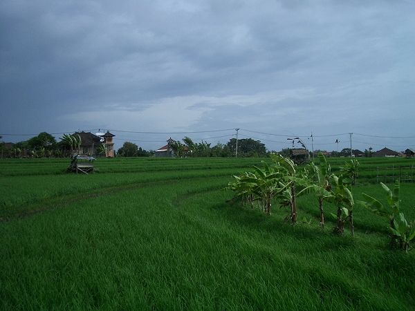 CIMG5999.jpg