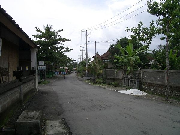 CIMG6009.jpg