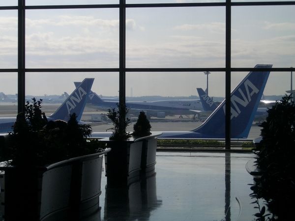 CIMG8300.jpg