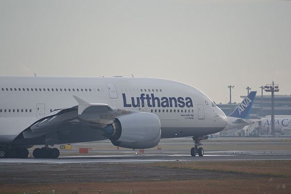 DSC_0040.jpg