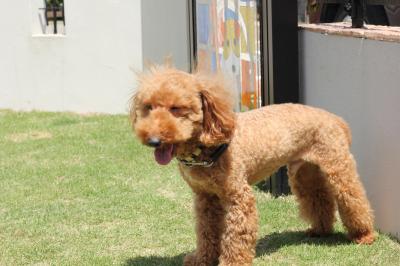 20120422b.jpg