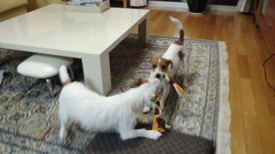 20120424a.jpg