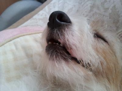 20120506d.jpg